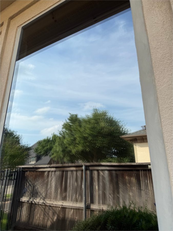 Spotless window with a clear view of the backyard