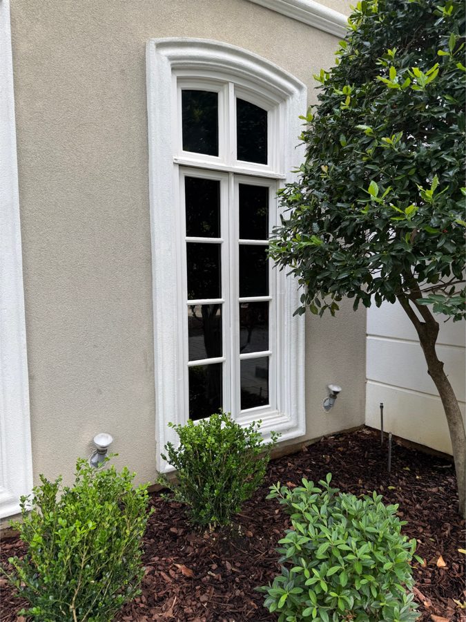 Clean arched window with white frame and landscaping